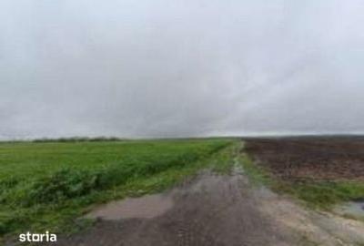 Teren de 32600 mp, în Deleni - 4