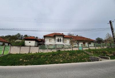 Casă cu 6 camere cu Teren 7000 Mp în Central - 2