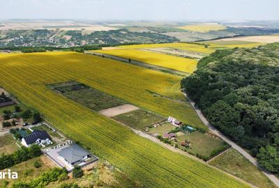 Teren de 4560 mp, în Miroslava