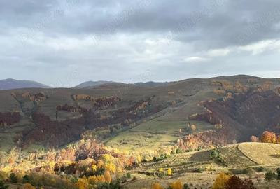 Teren de 1474 mp, în Sălciua - 9