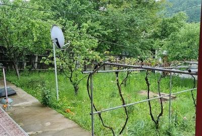 Casă cu 3 camere cu Teren 1558 Mp în Central