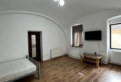 Apartament cu 3 camere semidecomandat, mobilat în Boul Roșu - 13