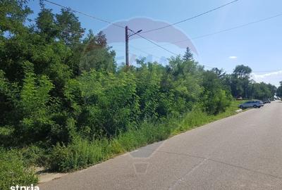 Teren de 6890 mp, în Albești - 4