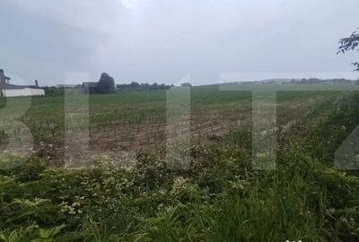 Teren de 15380 mp, în Orășeni-Vale - 1