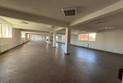 Spațiu comercial, de 800 mp, în Cetate - 3