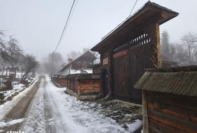 Casă cu 7 camere cu Teren 3035 Mp în Polovragi - 9