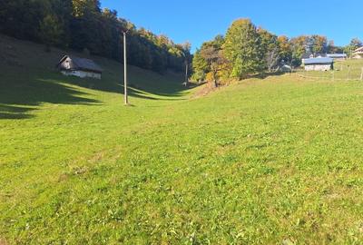 Teren de 16000 mp, în Ciocanu