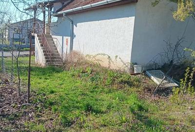 Teren de 1500 mp, în Ardud