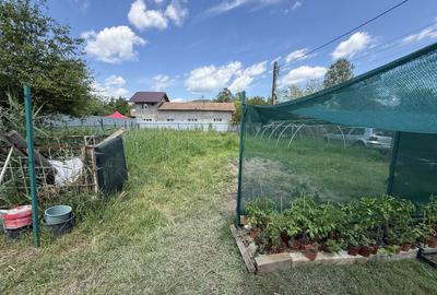 Casă individuală cu 3 camere cu Canalizare în Slobozia - 3