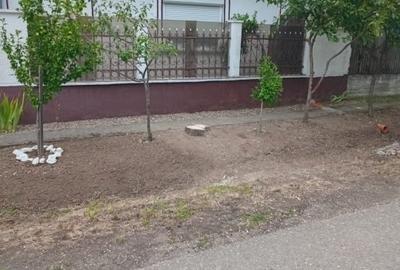 Casă individuală cu 2 camere cu Teren 3525 Mp în Șauaieu - 3