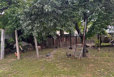 Casă cu 3 camere cu Teren 1300 Mp în Central - 14