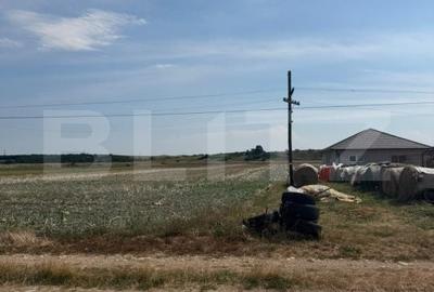 Teren de 5100 mp, în Mihai Viteazu