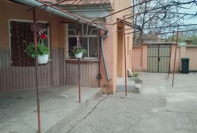 Casă cu 3 camere în Macea - 6