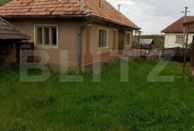 Casă cu 3 camere cu Teren 30000 Mp în Cuzăplac