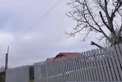 Teren de 1168 mp, în Frumușița - 4