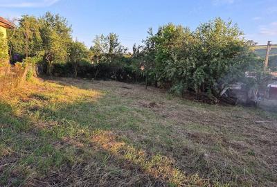 Casă cu Teren 800 Mp în Dăbâca - 4