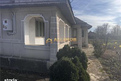 Casă cu 4 camere cu Teren 1550 Mp în Fulga - 6