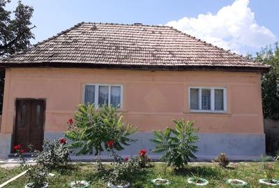 Casă cu 4 camere în Dipșa