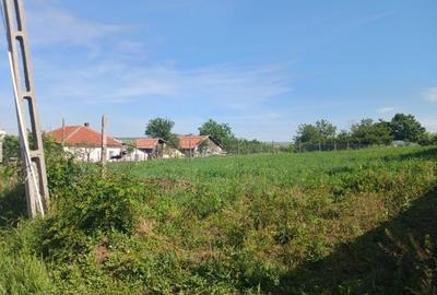 Teren de 1022 mp, în Sudiți (Poșta Câlnău) - 4