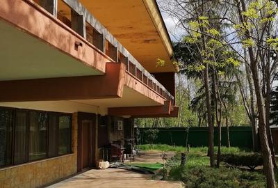 Casă individuală cu 12 camere cu Teren 1000 Mp în Central - 8