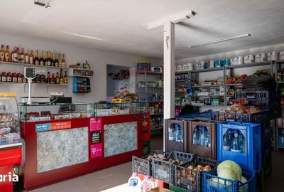 Casă cu 5 camere cu Teren 1063 Mp în Corbii Mari - 14