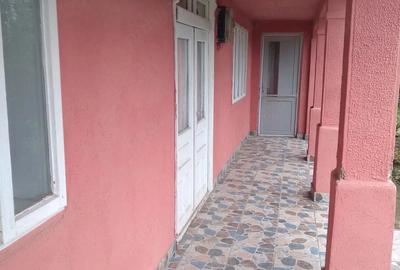 Casă cu Teren 900 Mp în Vulturu
