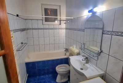 Apartament cu 2 camere semidecomandat, mobilat în Take Ionescu - 8