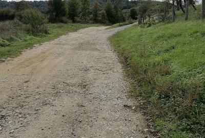 Teren de 30000 mp, în Central - 8