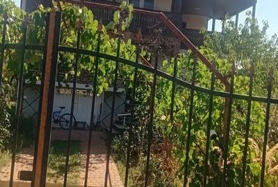 Casă cu 4 camere în Primăverii