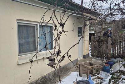 Casă cu 3 camere cu Teren 1631 Mp în Central - 3