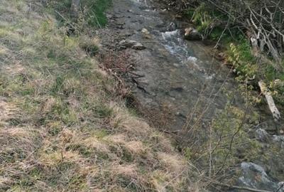 Teren intravilan de 10001 mp, în Central