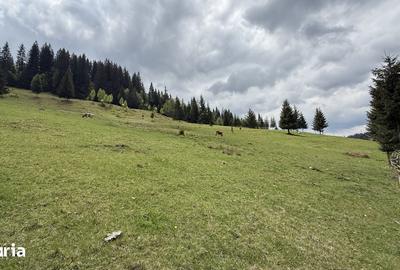 Teren de 16230 mp, în Fundu Moldovei