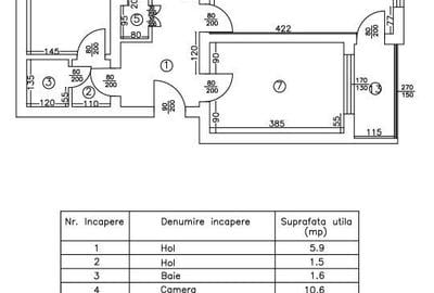 Apartament cu 4 camere decomandat în Podu Roș - 5