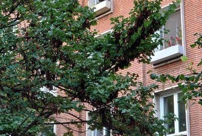 Apartament cu 3 camere decomandat în Mazepa 1
