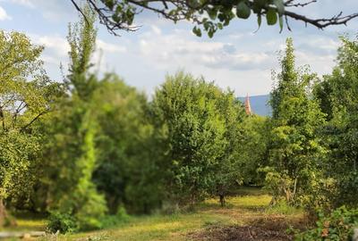 Teren Construcții intravilan de 640 mp, în Cisnădie - 6