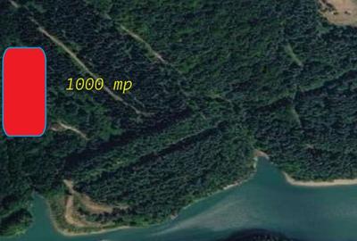 Teren Construcții intravilan de 1000 mp, în Văliug