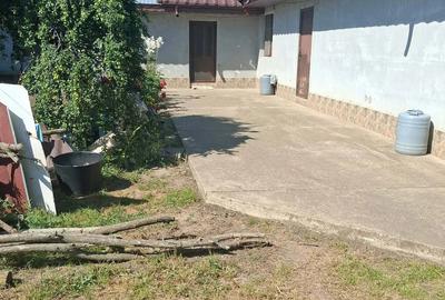 Casă cu Teren 6100 Mp în Călmățui