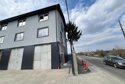 Spațiu comercial, de 500 mp, în Gheorghe Doja - 7