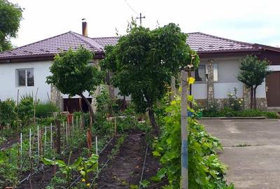 Casă cu 3 camere cu Teren 4500 Mp în Breaza - 5