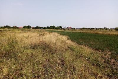 Teren Construcții intravilan de 4546 mp, în Corbeanca - 4