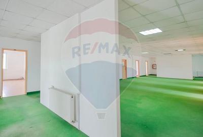 Spațiu industrial, de 10,129 mp, în Exterior Vest - 12