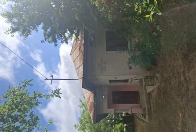 Casă cu Teren 2100 Mp în Vulpeni - 2