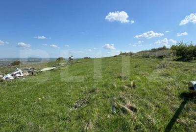 Casă cu 5 camere cu Teren 8700 Mp în Mihai Viteazu - 3