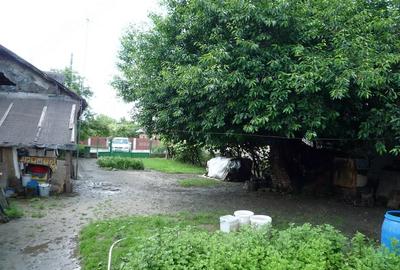 Teren de 3733 mp, în Cornetu - 5