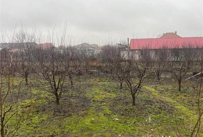 Casă cu 3 camere cu Teren 988 Mp în Sântandrei - 15