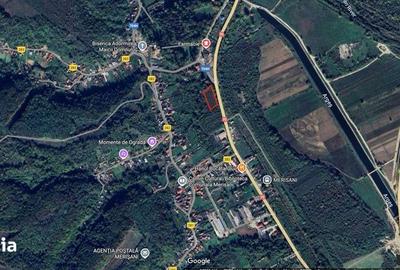 Teren de 5000 mp, în Merișani - 1