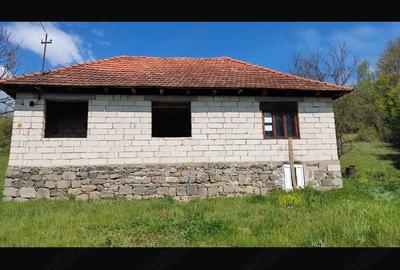 Teren de 9000 mp, în Avram Iancu (Vârfurile)