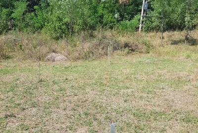Teren de 2500 mp, în Runcu - 3
