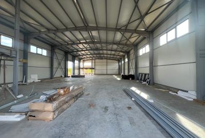 Spațiu industrial, de 595 mp, în Cernica