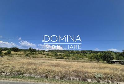 Teren Construcții intravilan de 13000 mp, în Runcu - 4